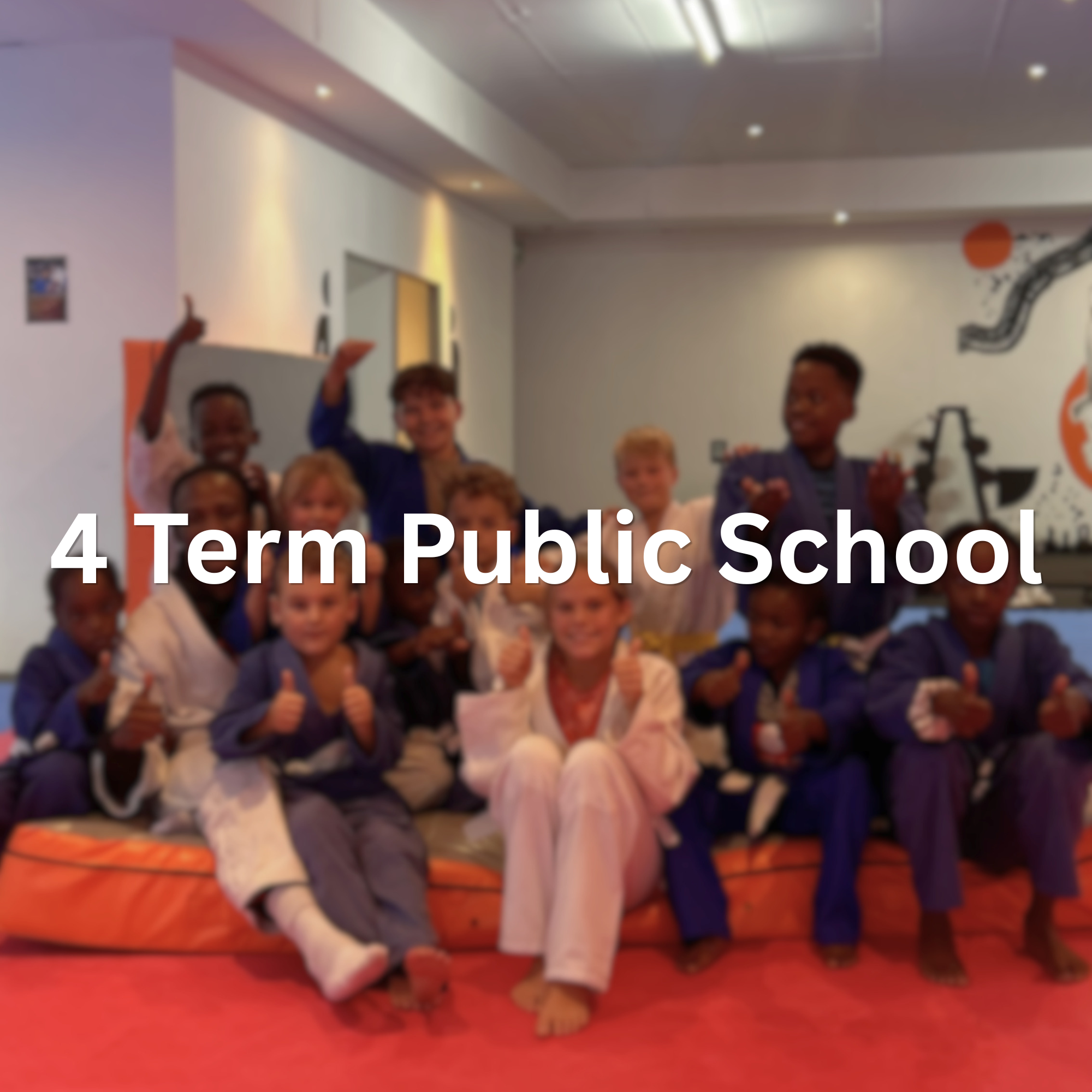 4 Term Public School Package (Per Term)