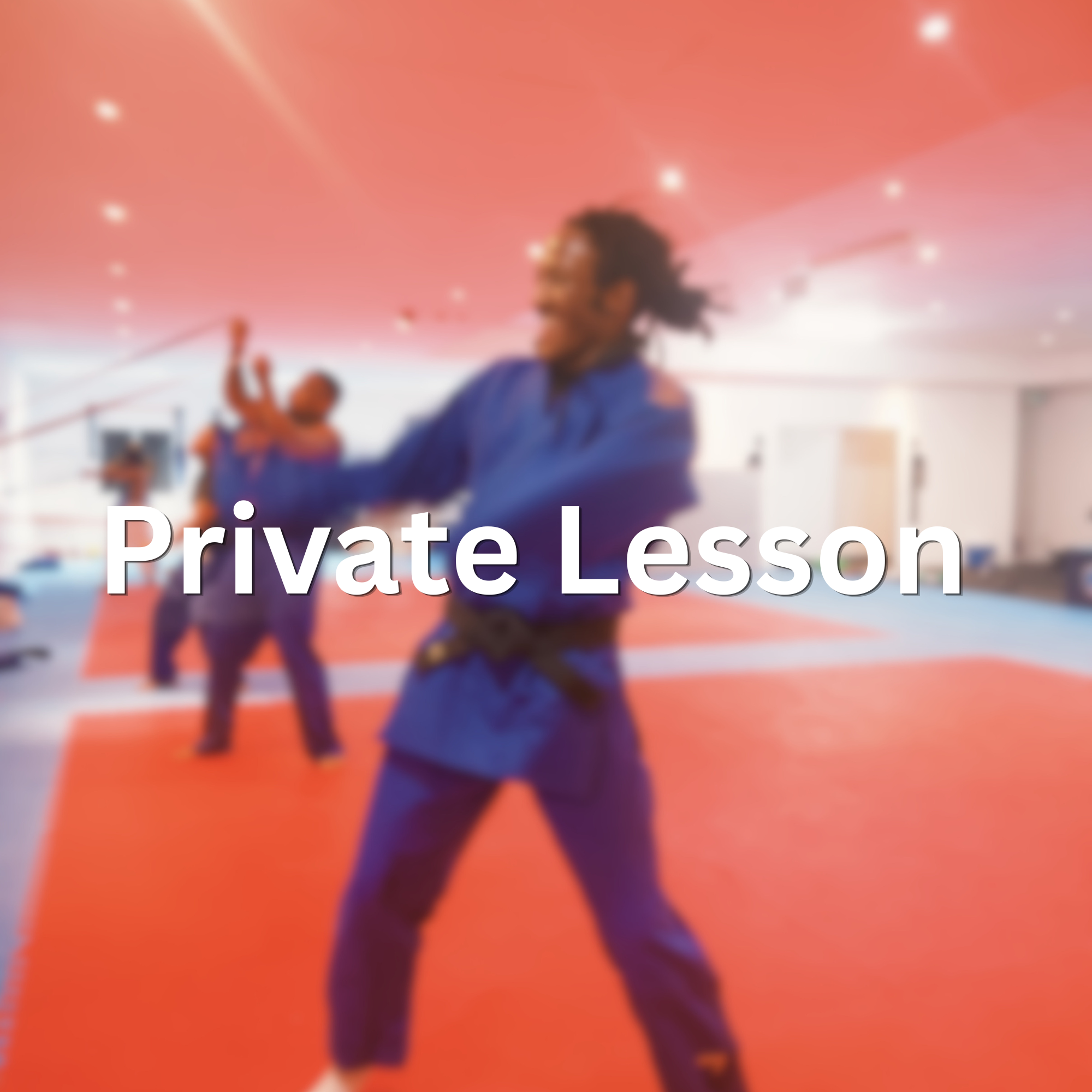 Private Session (Individual)